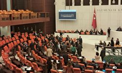 TBMM Genel Kurulu'nda DEM Parti ve İYİ Parti milletvekilleri arasında gerginlik yaşandı
