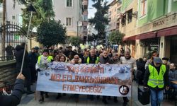 ORÇEV, Ordu Büyükşehir Belediyesi'nin Melet Havzası’nı imara açmasına karşı 8'inci kez protesto yürüyüşü düzenledi