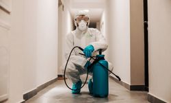 Sancaktepe Böcek İlaçlama Hizmeti