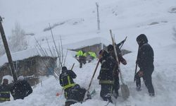Van'ın Çatak ilçesinde çığ düştü: 61 yaşındaki kadın hayatını kaybetti