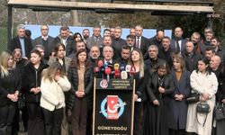 Amedspor İstişare Kurulu TFF'nin "saç örme" videosuna verdiği cezayı kınadı