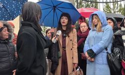 Ankara'da yavru köpekleri öldürmekle yargılanan doktora 4 yıl 4 ay hapis cezası