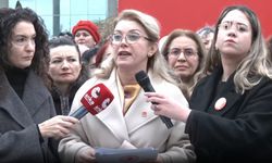 Asu Kaya: Seçilmişler tutuklu ama yetmiyor, çocukları cezalandırılıyor, eşleri hedef alınıyor, aileleri cezalandırılıyor