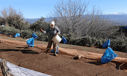 Aydın'da tütün üreticileri tepkili: Geçen yılın mahsulü hala alınmadı, fiyatlar belirsiz