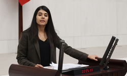 Beritan Güneş: Rojava protestolarında işkenceye uğrayan çocuklar derhal serbest bırakılmalı