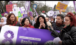 DEM Parti Kadın Meclisi'nden 8 Mart çağrısı