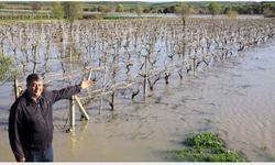 Ziraat Odası Başkanı Okur’dan “Gediz boşa akıyor” feryadı