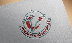 Hekim Birliği Sendikası: Bilirkişilik ve muhakkiklik görevi angarya değildir