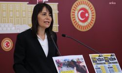 İstanbul'da bir okulda "selefi yemini" okutulduğu iddiası Meclis gündeminde