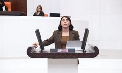 DEM Partili Aslan'dan "Cizre Bodrumları" için Meclis Araştırması talebi