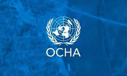 OCHA: Kobani’ye 23 kamyondan oluşan yardım konvoyu ulaştırıldı