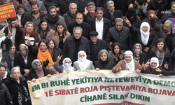 Bakırhan: Sıra Türkiye'deki Kürtlerin demokratik haklarını kazanma günüdür