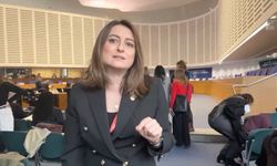 Aysu Bankoğlu: AYM kararlarını bile uygulamayan bir iktidarın ‘iç hukuk’ savunması samimiyetten uzaktır