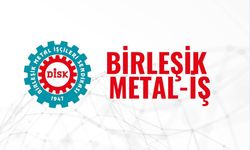 Birleşik Metal-İş'ten doğum izni düzenlemesine ilişkin açıklama: Bakım yükü paylaşılmalı