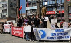 Edremit’te hayvan katliamı protesto edildi