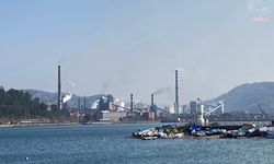 "Kirli hava insan hakları ihlali" uyarısı: Karadeniz Ereğli'de gözler Erdemir emisyonlarında