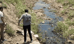 İzmir Körfezi ve tarım toprakları kirliliğin kıskacında