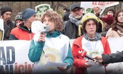 Kuzey Ormanları Savunması’ndan Belgrad Ormanı’nda su günü eylemi: Belgrad’ın suyunu satmak ormanı öldürmek demektir