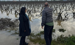 Manisa ovası sele mahkûm: Kadın Başkan Aytaç yerinde tespitte bulundu