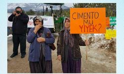 CHP'li Ozan Varal: Tarsus'a çimento fabrikası dayatılıyor