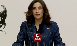 CHP'li Rızvanoğlu: 4 milyon 800 bin metrekare alan bir gecede orman sınırları dışına çıkarıldı