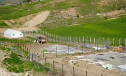 Adıyaman’da belediye eliyle yumurta üretimi başlıyor