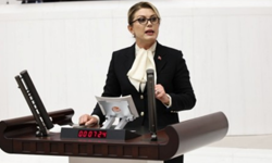 Asu Kaya, Esma Kılıçarslan dosyasındaki iddiaları Meclis'e taşıdı