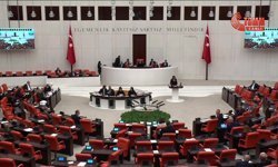 DEM Partili İrmez: Belediyelerin yetkileri Cumhurbaşkanlığı'nın koridorlarına hapsediliyor