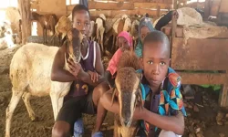 Kurban Bağışı ile Yardım Dağıtımında Öncelik Kime Veriliyor?