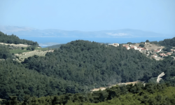 Urla'da 15 hektarlık doğal sit alanı yapılaşmaya açıldı