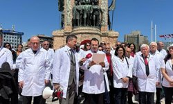 Veteriner hekimler gıda güvenliği ve özlük hakları için Taksim'den seslendi