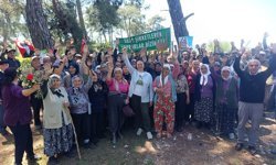 Akbelen Ormanı çevresindeki acele kamulaştırma kararının yürütmesi durduruldu
