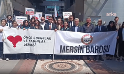 Hiranur Aygar cinayetinde bir kişi müebbet hapis cezasına çarptırıldı