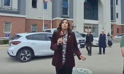 CHP'li Rızvanoğlu: Reşit Kibar doğasını ve havasını koruduğu için hedef alındı