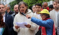 Ünye Çevre Platformu’ndan maden ihalelerine tepki: Yaşam alanlarımızı savunuyoruz
