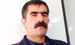 HDP Şemdinli İlçe Başkanı tutuklandı