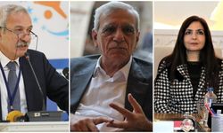 Appointed Trustees Replace Elected HDP Co-Mayors, Again