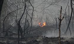 8 ayda meydana gelen orman yangınlarında 6 bin 492 hektar alan kül oldu