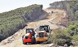 CHP’li başkan: Kapıdağ ormanları talan ediliyor