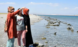 Efsane geri döndü: Yine “Van Gölü canavarını gördük” iddiası