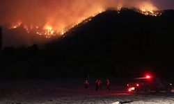 Adana Pozantı'da yangın: Evler tahliye ediliyor