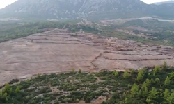Antalya'da "ağaçlandırma projesi" için ağaç kesimi yapıldı
