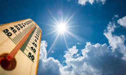 Uzmanlardan uyarı: "2020 yılı global ortalamalarda en sıcak yıl olma yolunda ilerliyor"
