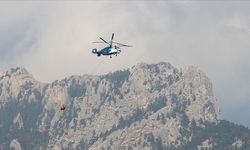 Adana'daki orman yangını 4 gün sonra kontrol altına alınabildi