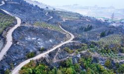 Hatay'daki orman yangını 22 saat sonra kontrol altına alındı