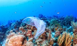 Bilim insanları: "Okyanusların tabanında 14 milyon ton mikro-plastik atık bulunuyor"