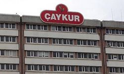AKP’li belediye başkanı ÇAYKUR'da özelleştirme görevlisi oldu