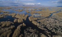 Eber Gölü, korunacak alan ilan edildi