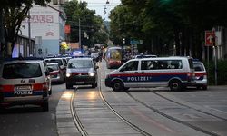 Viyana'da sinagog yakınlarında silahlı saldırı