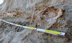 Edirne'de 8 milyon yıllık tarihe sahip mamut fosilleri bulundu